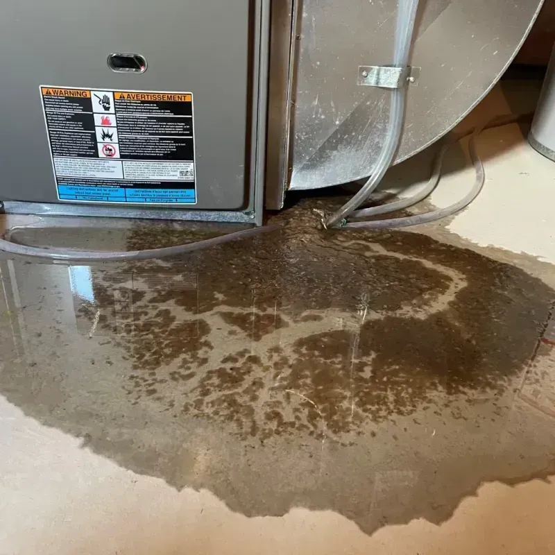 Appliance Leak Cleanup in Salinas, PR